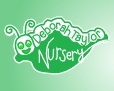 Deborah Taylor Nursery emblem